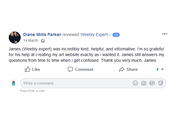 Diane reviews Weebly expert about her art website design service