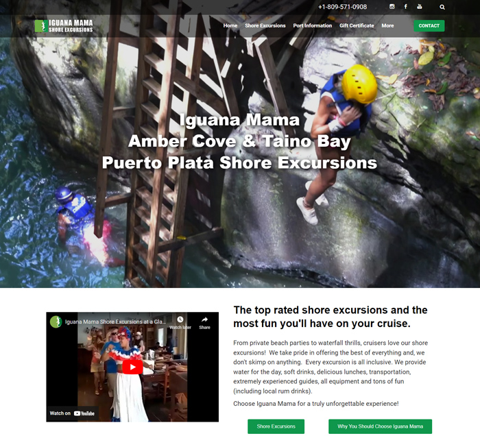 Iguana Mama website redesign by Weebly Expert