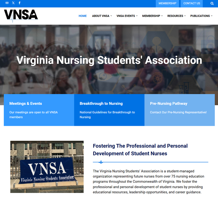 VNSA website screenshot